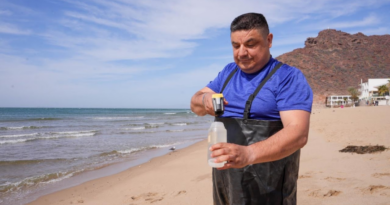 Las playas de Sonora son aptas para uso recreativo: Coesprisson
