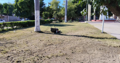 Parques y Jardines trabaja en mantenimiento de espacios públicos en la ciudad