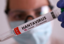 OMS eleva a 7 los casos de hantavirus; última paciente es de Francia