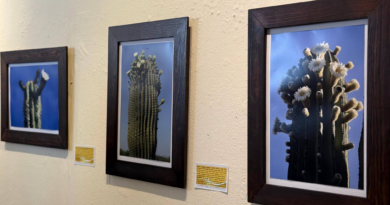 Impulsa Gobierno de Empalme el arte y la cultura con exposición sobre la riqueza natural del desierto sonorense