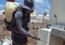 Salud Sonora intensifica acciones contra la rickettsia con fumigación de viviendas