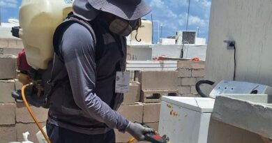 Salud Sonora intensifica acciones contra la rickettsia con fumigación de viviendas