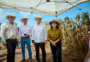 Sonora lidera el crecimiento del campo en el norte del país: Durazo