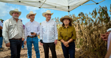 Sonora lidera el crecimiento del campo en el norte del país: Durazo
