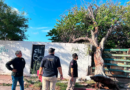 Protección Civil Estatal y Ayuntamiento de Guaymas trabajan en retiro de árboles caídos