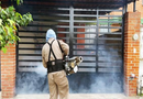 Refuerza Salud Sonora prevención del dengue ante posibles lluvias por huracán Polo